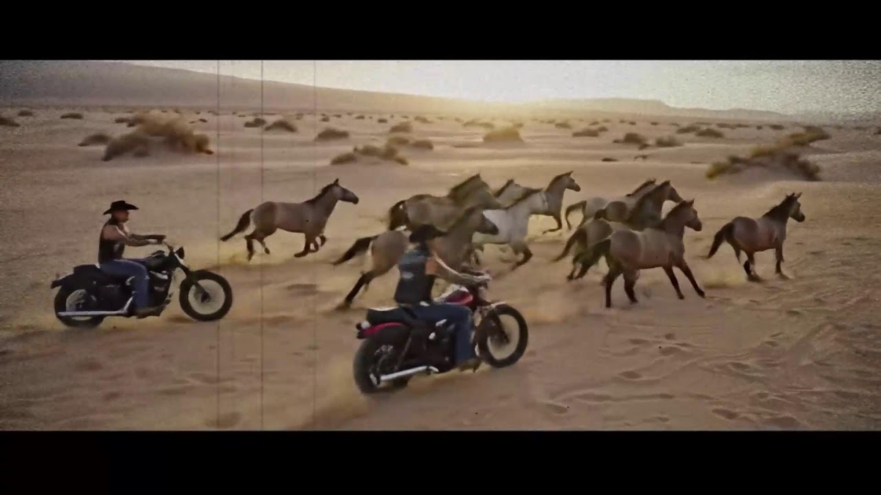 Start the Riot Texas Rockstyle: Whiskey Strings and Rebel Blues