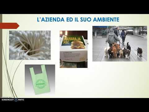 Video: Quale dei seguenti è incluso nelle relazioni annuali di un'azienda?