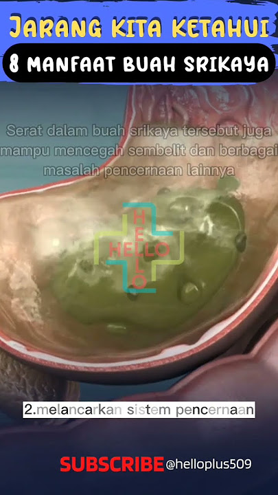 8 manfaat buah srikaya untuk kesehatan #shorts #tipssehat