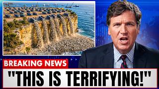 Florida Dumped Half a Million Tons of Oyster Shells Offshore… Look What Formed