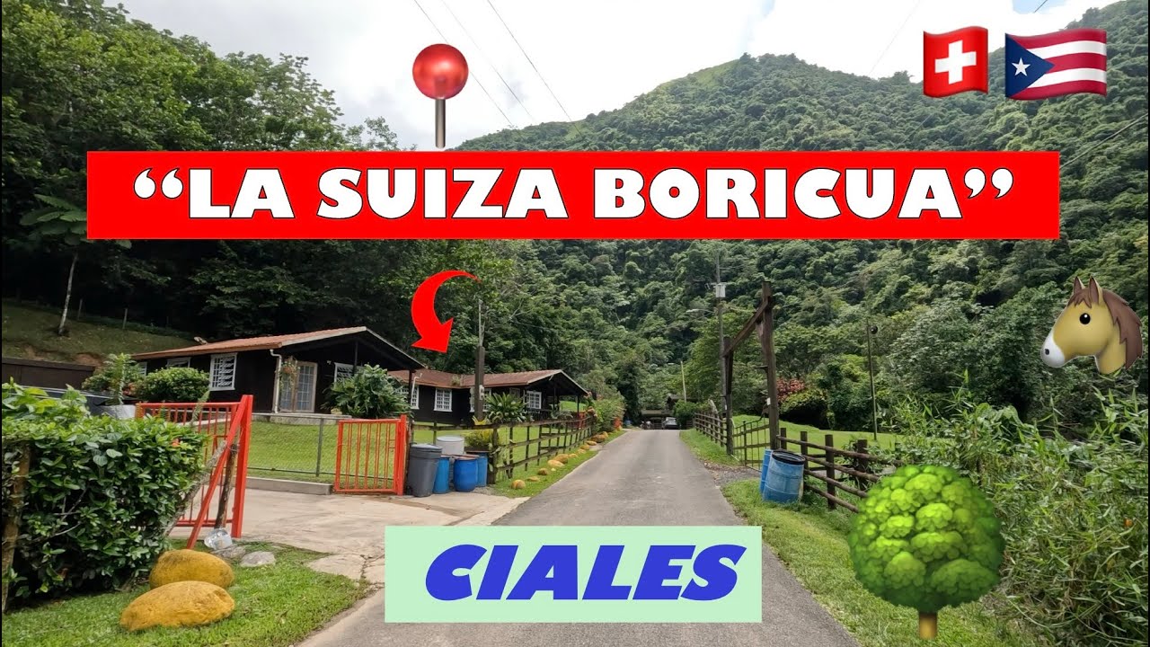 🌳🚙Driving around Ciales Puerto Rico 4K| La Suiza Boricua 🇵🇷