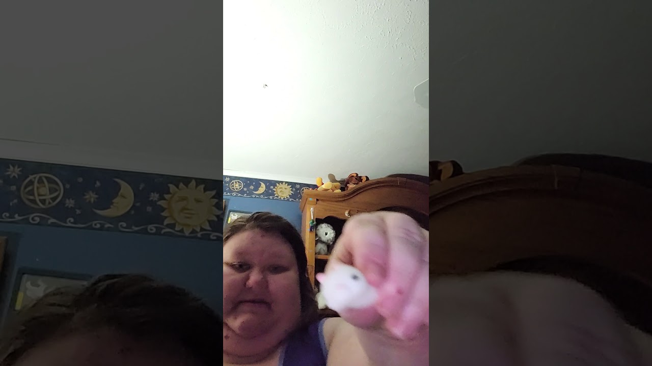 squish yum jiggly surprise