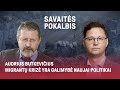 Audrius Butkevičius. Migrantų krizė yra galimybė naujai politikai