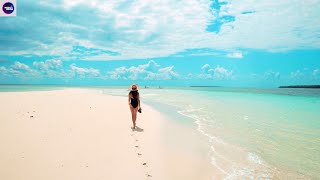 Zoe Wees - Control (Brydon Adams Remix) The Best Of Vocal SUMMER 2023 ☀️🌴 Resimi