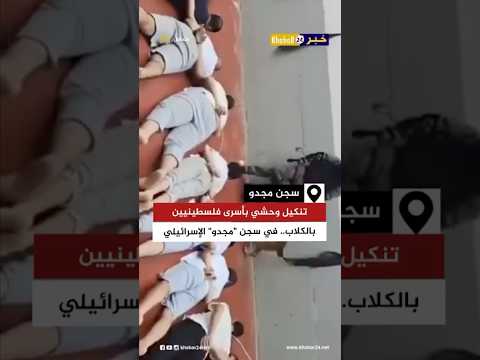 تنكيل وحشي بأسرى فلسطينيين بالكلاب في سجن مجدو الإسرائيلي