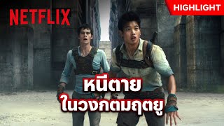 เมื่อจะโดนเขาวงกตขังตาย ทางเดียวที่ทำได้คือวิ่ง! - The Maze Runner | Netflix