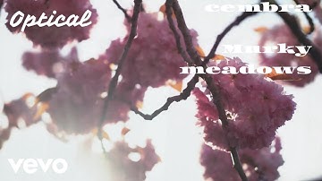 Prickly Pear Records - Optical (Official Music Video) ft. Murky Meadows, cembra