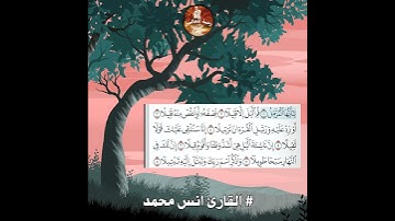 يا أيها المزمل قم الليل الا قليلا 💚 تلاوة رائعة جدا 💙 خشوع رهيب انس محمد