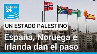 Impacto del reconocimiento de España, Noruega e Irlanda de un Estado palestino • FRANCE 24