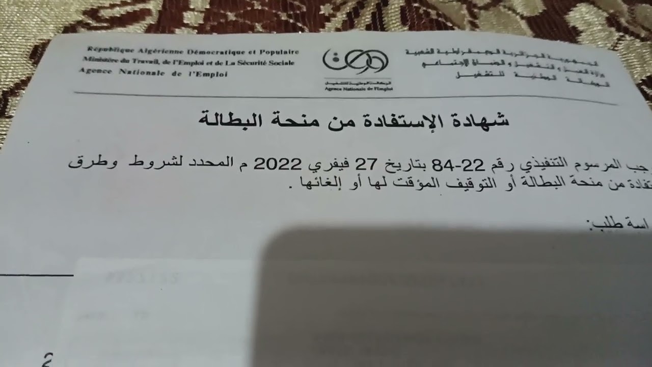 عاجل وقف منحه البطاله بعد مده عام او عامين من الاستفاده قرار مجلس الوزراء 2025 للسنه الماليه الجديدة