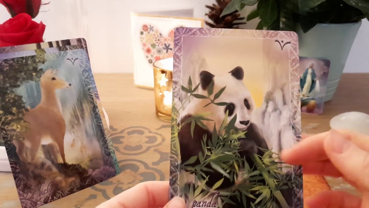 ❣ Message de votre autre: je me défends contre des attaques extérieures, je veux te protéger