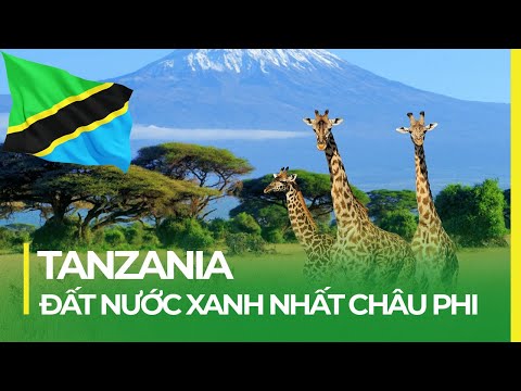 Video: Thời điểm tốt nhất để đến thăm Tanzania
