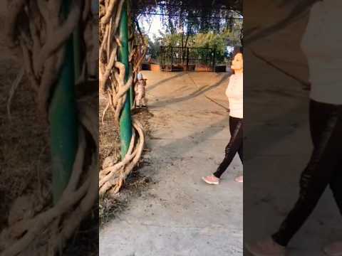 standing split with support #arpanamahesh #youtubeshorts