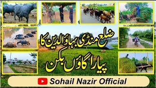 Very Beautiful Village Bukkan || Lovely Village in District Mandi bahauddin Pakistan || 2024
