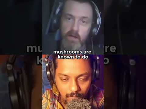 Medicinal Mushrooms Uncovered  The Healing Powers of Rishi, Lion’s Mane, and More
