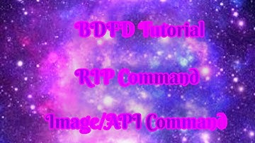 BDFD Tutorials, RIP Command •Image/API Command•