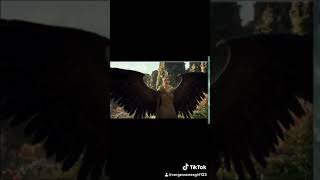 Maleficent Teil 1 Und Teil 2