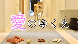 大量のおやつでパパへの愛を妨害してみた