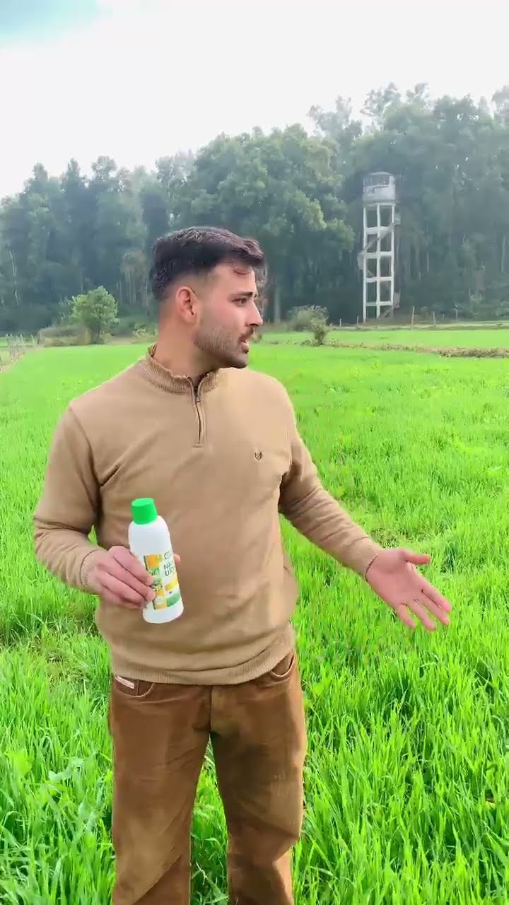 सिरमौर के युवा किसान अजय कुमार ने लहलहाती फसल का बताया कैसा राज | वनइंडिया हिंदी