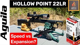 Aguila 38gr HV Hollow Point .22 LR Tested | Groups, Speed &amp; Expansion Results 4K
