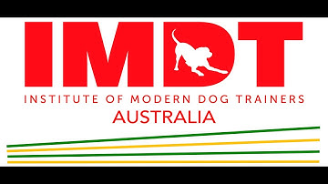 IMDT Creating a Safe Space