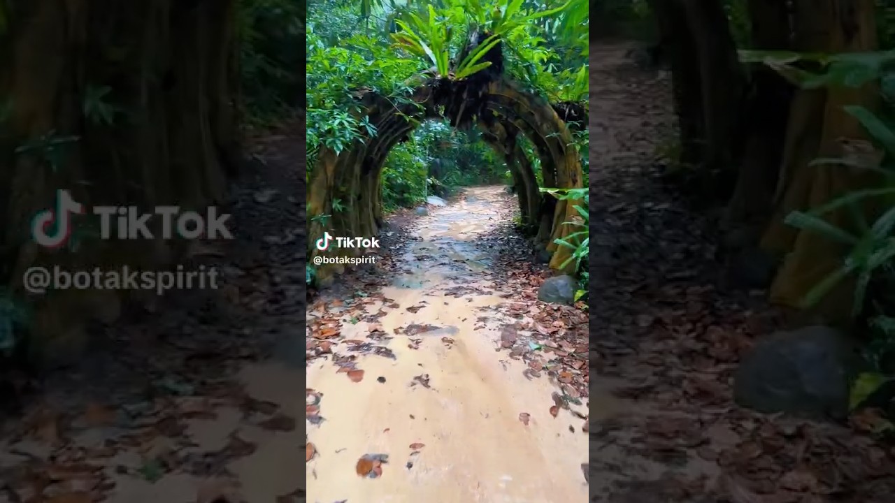 Imbiah Trail, nature walk in Sentosa Island, Singapore