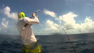 peche au jig Carangue noir sur IRMAO ( pêche sportive en martinique)