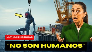 Cenote Calavera La Entrada A Xibalbá Que Los Mayas Sellaron Con 118 Cráneos