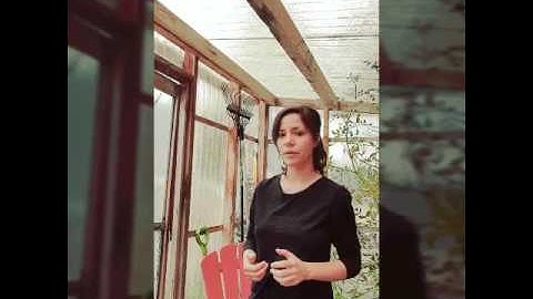 Introduction to Seed Saving