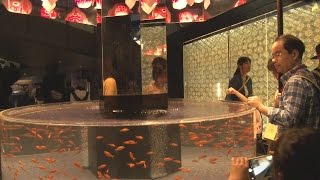 水族館の新展示や写真展始まる 東京スカイツリータウン
