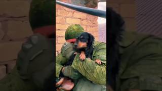Спасение собаки из затопленного дома до слез 🥲 #спасение_щенка #россия #потоп #спасениежизни