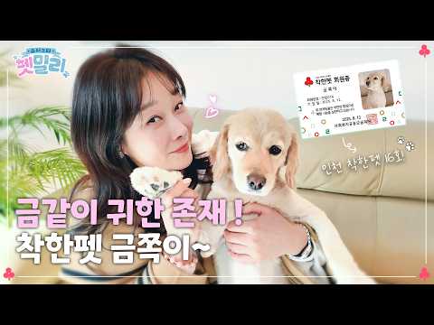 A Real Superstar Dog Has Arrived!? | Superstar Pet-mily Donor Hyunyoung & Geumjjoki