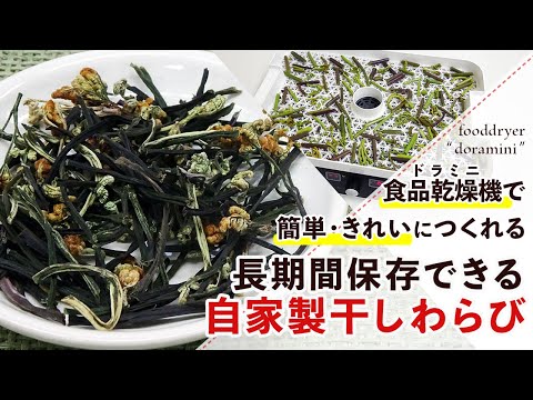 【干し野菜】フードドライヤーで時短！干しわらびの作り方【乾燥わらび】