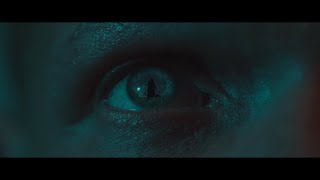 Matt Maeson - Hallucinogenics (Official Video)