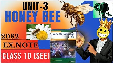 Class 10 (SEE) Aspirants | Class 10 science | Chapter 3 Honey Bee | all exercise solution | By Bk