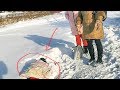 Собаку убивали Она стала слепая после ударов по голове Но выжила  dog rescue