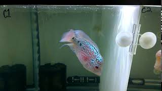 WP 20140906 05 24 32 Pro VT2 10