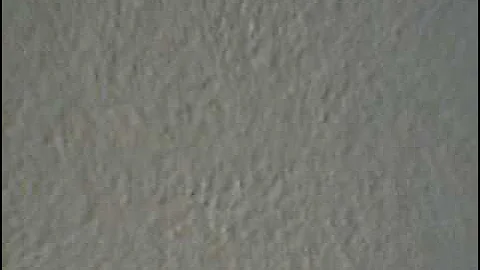 corroticaleeike's QuickCapture Video - November 28, 2008, 05:03 AM