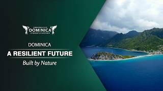 Dominica A Resilient Future Built by Nature