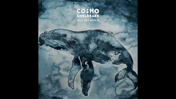 Cosmo Sheldrake - Pelagy