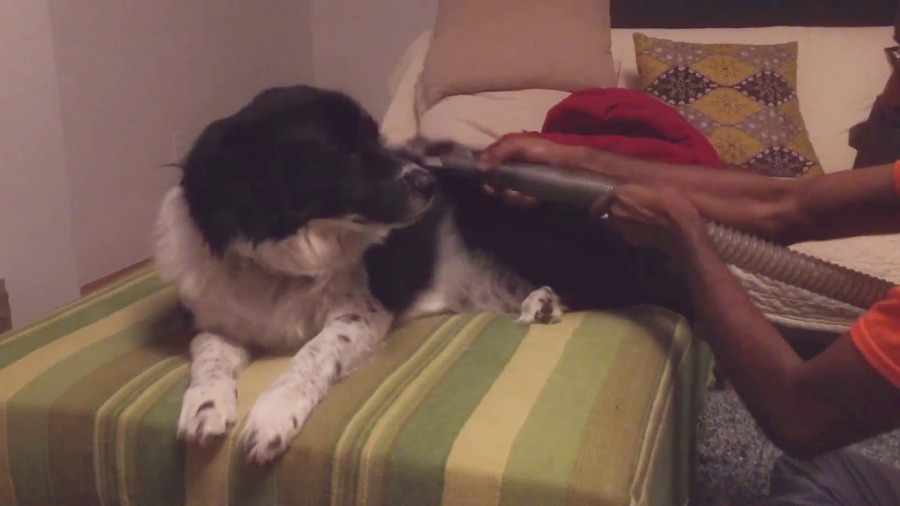 Grooming YouTube