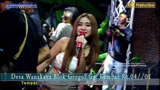 LANANG COBRA LASTRI IJEM SHOW NMS HAJAT BPK.KADILA DAN IBU.CASMA GUNUNGJATI