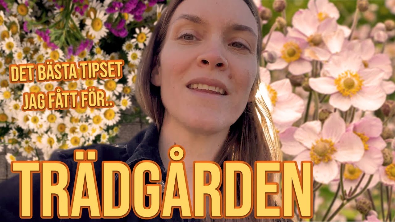 BRITA GREJAR I TRÄDGÅRDEN - RANUNKLER & ANEMONER