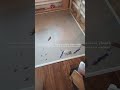 Всегда благодарна за Вашу помощь 🙏🏼 +79278920802