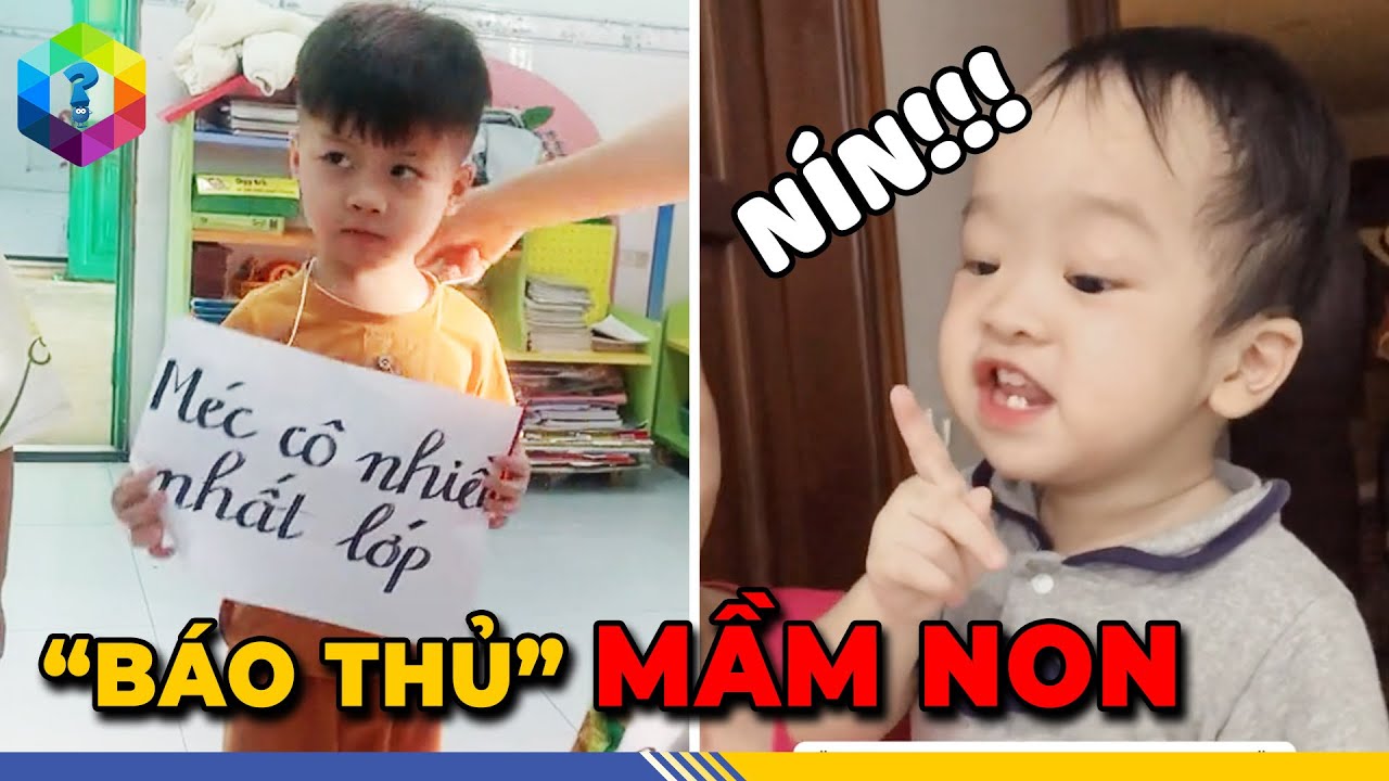 “Cười Xỉu” Với Những Màn Troll Bá Đạo Đến Từ Các “Báo Thủ Mầm Non” Việt Nam - Top 1 Khám Phá
