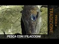 Pesca a GRONGHI E MURENE con i FILACCIONI.