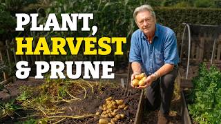 Vegetable Garden Jobs You Should Be Doing Now!