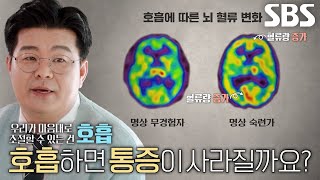 “뇌의 모든 영역에 연결된 호흡 회로” 정재승, 명상이 통증 감소에 효과적인 이유