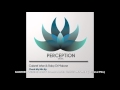 Gabriel Wise Amp Roby Di Malone Check My Mix Original Mix Snippet mp3