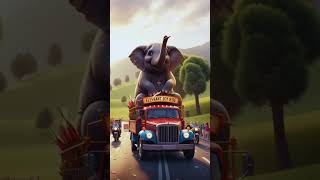 enjoying the elephant's ride through the beautiful countryside! and City centre